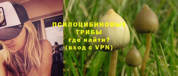 ГАЛЛЮЦИНОГЕННЫЕ ГРИБЫ Иннополис