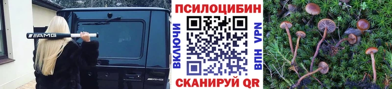 Купить где  Рошаль  Галлюциногенные грибы прущие грибы 